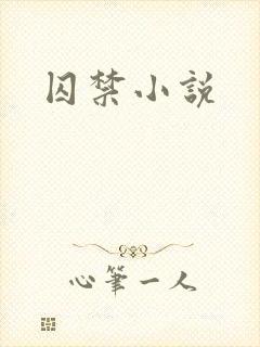 囚禁小说