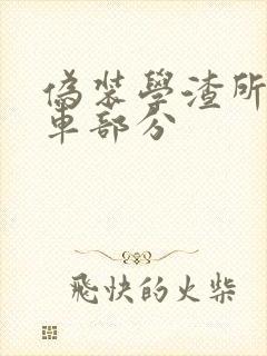 伪装学渣所有开车部分