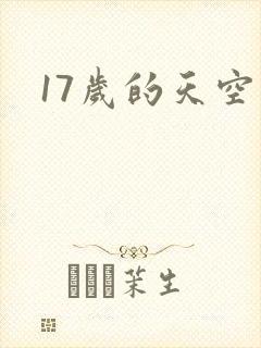 17岁的天空