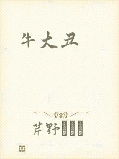 牛大丑封面