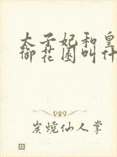 太子妃和皇帝在御花园叫什么小说封面