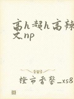 高h超h高辣h文np封面