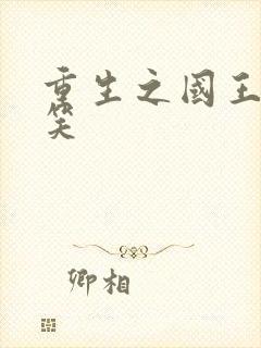 重生之国王的微笑