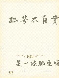 孤芳不自赏小说封面