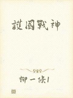 护国战神