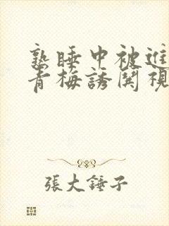 熟睡中被进了H青梅诱哄视频