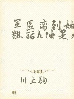 军区脔到她哭h粗话h他是疯批