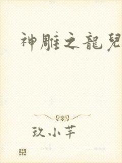 神雕之龙儿别传封面