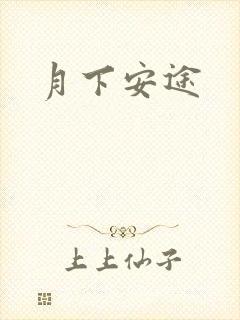 月下安途