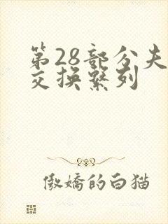 第28部分夫妇交换系列
