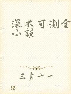 深不可测金银花小说