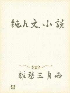 纯h文小说