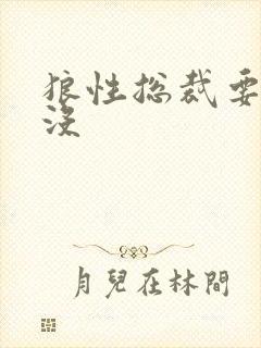 狼性总裁要够了没封面
