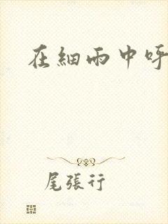 在细雨中呼喊