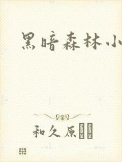 黑暗森林小说
