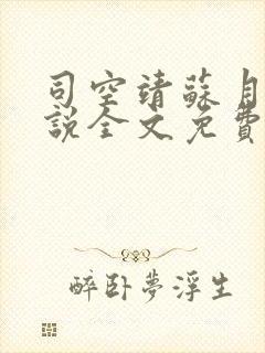 司空靖苏月汐小说全文免费阅读