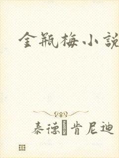 金瓶梅小说下载