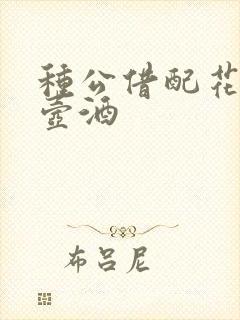 种公借配花间一壶酒