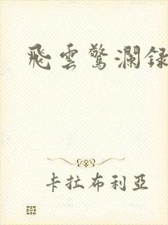 飞云惊澜录
