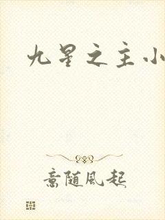九星之主小说
