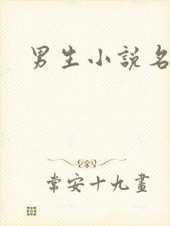 男生小说名字