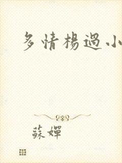 多情杨过小说封面