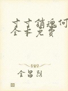 寸寸销魂何生祥全本免费封面