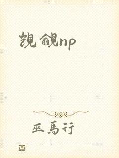 觊觎np