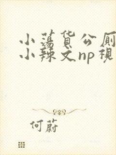 小荡货公厕h文小辣文np视频