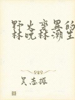 野火变异的父爱林晚林潮生