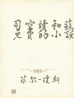 司空靖和苏月汐免费的小说笔趣阁