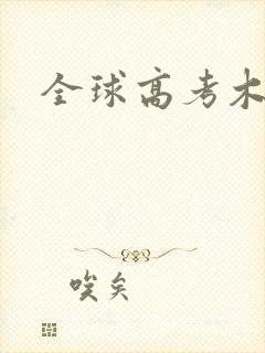全球高考木苏里封面