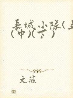 长城小队(上)(中)(下 )封面