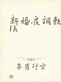 新婚夜调教1v1h封面