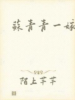 苏青青一嫁三夫