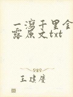 一泻千里金银花露原文txt