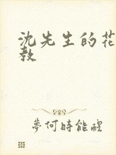 沈先生的花式管教