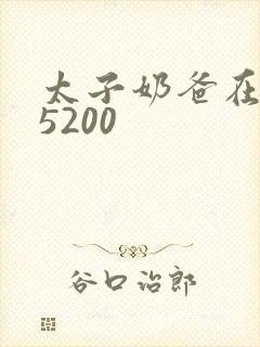 太子奶爸在花都5200