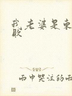 我老婆是东方不败