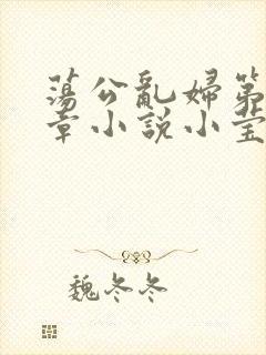 荡公乱妇第51章小说小莹封面