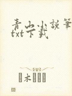 青山小说笔趣阁txt下载
