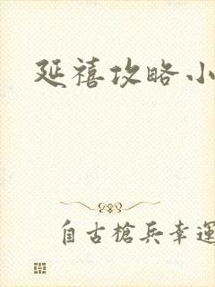 延禧攻略小说封面