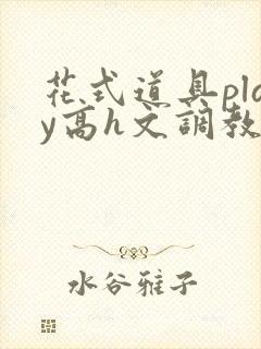 花式道具play高h文调教封面