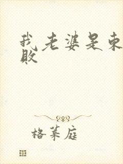 我老婆是东方不败