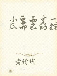 小东西才一根黄瓜而已的推荐书封面