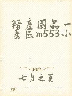 精产国品一二三产区m553小说封面