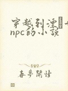 穿越到湮婸世界npc的小说