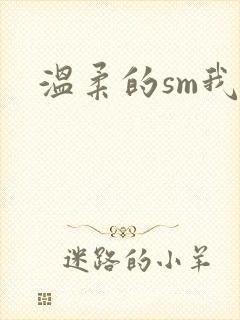 温柔的sm我