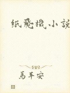 纸飞机小说