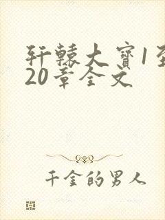 轩辕大宝1至720章全文封面